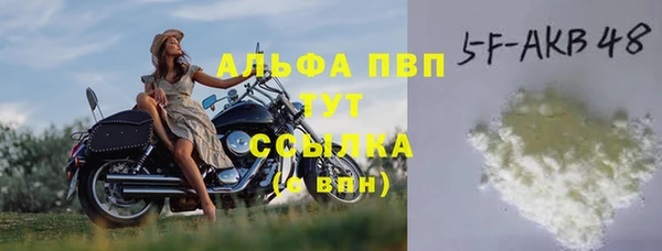 амф Верхний Тагил