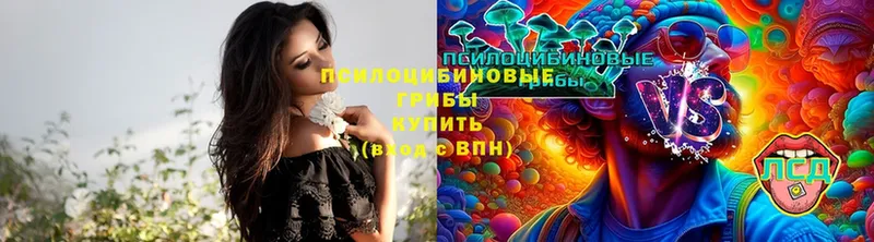 Галлюциногенные грибы ЛСД  Курчалой 